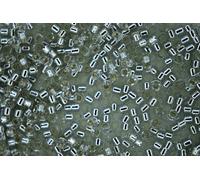 DB1211 7.2g Silver Lined Gray Mist Miyuki 11/0 Delica Japanese Seed Beads 1.6mm Cylinder Beading Supplies Jewellery Making Supply