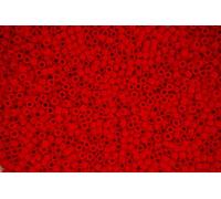 DB753 7.2g Opaque Dark Red Miyuki 11/0 Delica Japanese Seed Beads 1.6mm Cylinder Beading Supplies Jewellery Making Supply