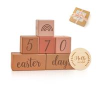 DBAILY Baby Milestone Cards, Wood, Milestones Baby, Milestone Age Blocks, with Weeks, Months, Years, and Weight, Baby Photo Shooting Props