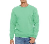 DBFBDTU Men's Sweatshirt Autumn Winter Thicken Warm Pullovers Casual Tops No Hood Hoodie Sportswear Mint EN8 US XL