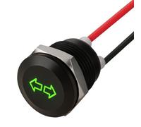DBG Screw-Fit LED Warning Indicator Light, Symbol Engraved, 12V DC, IP65 Waterproof, Panel Mount, Ø16mm Hole - Multiple Signal Types Available (Green | Double Arrow | 12V)
