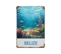 DBKGHIEDHG Belize Vintage Travel Poster,Retro Metal Tin Sign/Plaque for Kitchen Lounge Garden Garage Pub Wall/Door(20x30cm 8x12 inch-C61