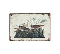 DBKGHIEDHG Sparrow Print, Antique Bird Painting, Vintage Drawing tin sign Wall Art Decor, Bird Illustrations, Bird tin signs,Retro style, farmhouse, bar,garage, tin sign 30X40cm