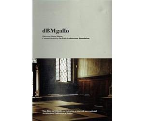 dBMgallo: Two Films on Ireland’s Participation at the 12th International Architecture Exhibition at Venice