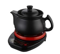 DBXMJWCMDT 2-6L Multifunctional Electric Herbal Medicine Cooker, Automatic Ceramic Pot for Chinese Medicine, Herbal Tea, Soup, Stew, Porridge, Home Use 2L