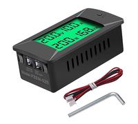 DC 0-300V 300A Voltmeter Ammeter Car Battery Tester Electricity Energy Voltage Power Meter Monitor Shunt(PZEM-025 100A)