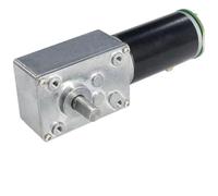DC 12V 24V CW CCW High Torque 5840-31z Worm Gear Motor with Encoder 12 16 27 40 80 160 260 470RPM