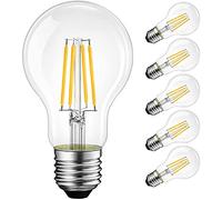 DC 12V 24V Low Voltage LED Edison Bulb A19 6W 4500K Daylight White 600LM E26 60Watt Equivalent LED Filament Bulb for RV Camper Marine Boat Solar Panel Project (12V, 4500K-Daylight White)