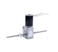 DC 12V 24V M8 Screw Double Output Shaft Worm Gear Reducer Motor 5840-31ZY Adjustable Speed Can CW CCW Micro Motor(T-tow-s,24V 160RPM-ONLY MOT)
