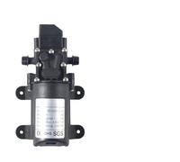 DC 12V intelligent water pump self-priming electric spray spray cooling, flower watering diaphragm pump(Pump and Plug-1)