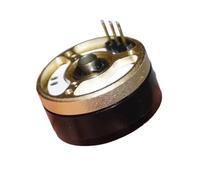 DC 12V PTZ electronic starter 28MM Outer Rotor Brushless electronic starter 330KV Double Ball Bearing 4mm Hollow Shaft Rotation Limit 290 Degrees BIANMTSW(A Type Motor)