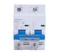 DC 2p DC Circuit Breaker 12-125V 1P Automatic Protector Electric Vehicle 80A/100A/125A/200A/250A Battery Protection(2P,250A)