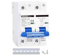 DC Circuit Breaker dz47 2P 125Amp 12V 24V 36V 48V DC MCB Short Circuit Protection Disconnect Switch Isolator for Solar Panel Battery UPS Inverter Photovoltaic PV System