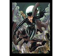 DC Comics Batman 30 X 40 cm "Cat & Bat" Framed Print