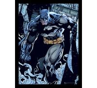 Batman (prowl), Multi