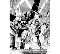 DC Comics "Batman & Nightwing" Canvas Print, 60 x 80 cm