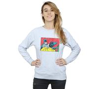 Dc Comics Batman Robin Slap Sweatshirt In Grey Grey XXL