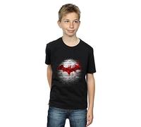DC Comics Boys Batman Logo Wall T-Shirt Black 12-13 Years