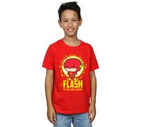 DC Comics Boys Flash My Hero Since Forever T-Shirt Red 5-6 Years