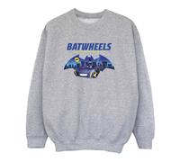 DC Comics Boy's Protect Gotham City Sweatshirt in Grey | Size: 5-6 Years DC Comics Grey 5-6 Years