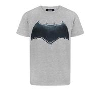 DC Comics Boy's Short Sleeved T-Shirt (Kids Grey) | Size: 9-10 Years DC Comics Multicolor 9-10 Years
