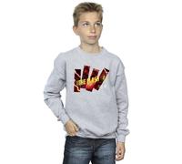 DC Comics Boy's The Flash Pillars Sweatshirt in Grey | Size: 5-6 Years DC Comics Grey 5-6 Years