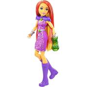 DC Comics DVG20 Super Hero Girls Action Dolls