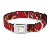 DC Comics Easy Adjustable Metal Seatbelt Buckle Quick Release Dog Collar, The Flash 2023, 15 to 24 Inches 1.0 Inch Wide-Large