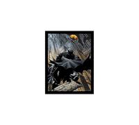DC Comics FP11603P-PL Batman 30 X 40 cm "Night Watch" Framed Print