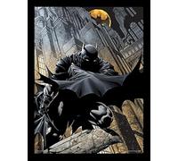 DC Comics FP11603P-PL Batman 30 X 40 cm "Night Watch" Framed Print