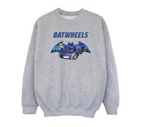 DC Comics Girl's Protect Gotham City Sweatshirt in Grey | Size: 9 Years DC Comics Grey 9 Years