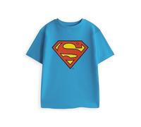 DC Comics Superman Boys Blue Short Sleeved T-Shirt | Classic Logo Graphic Tee for Casual Wear | Crew Neck Top | Kids Comics Merchandise - 5-6 Years