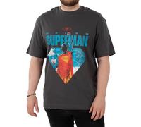 DC Comics Superman T Shirt, Cotton Mens T Shirt for Summer, Super Man Mens T-Shirts, Grey Size Large