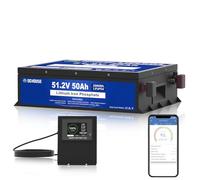 DC HOUSE 48V 50Ah LiFePO4 Golf Cart Battery,With 50A BMS, Perfectly for RV, Cart, Trolling Motor, Solar, Off-grid