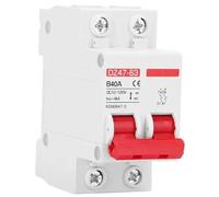DC MCB 12V 24V 48V 60V 110V Circuit Breaker Battery Protect Switch Positive Negative Short Circuit 2P 10A 20A 50A 100A 125A 150A (1P 10A)