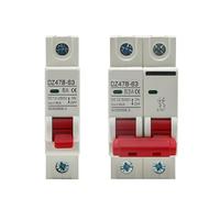 DC MCB 12V 24V 48V Circuit Breaker Battery Car Protector DZ47 DC And Negative Pole Rotection Protect Switch Isolator IINKUEYK(2P,125A)