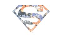 DC Originals Floral Superman Men's T-Shirt - White - 4XL