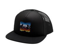 DC SHOES SKATE GAS STATION TRUCKER SNAPBACK MENS CAP BLACK ADYHA04178 KVJ0