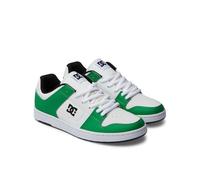 Dc Shoes Manteca 4 Adys100765 Trainers