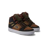 Dc Shoes Pure Wc Wnt Trainers