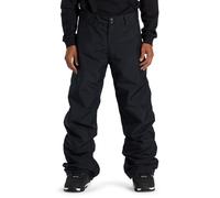 DC Shoes Mens Snow Chino Hiking Pants, Black, L EU