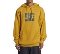 DC Shoes Mens Star Ph Skateboarding Hoodie, Tinsel, M EU