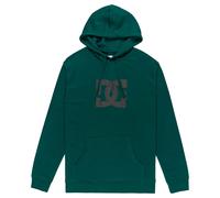 Dcshoes Sweater DC STAR PH Men's Green S