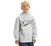 DC Shoes Substitute EDBSF03127 Boys' Hooded Sweatshirt 8-16 Years, Grey - Light Heather Grey, 16 Years