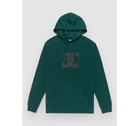 DC Star Hoodie ponderosa pine S