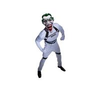 DC The Joker Arkham Asylum