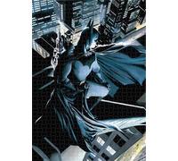 DC Universe Batman Vigilante Puzzle 1000 Pieces SD TOYS