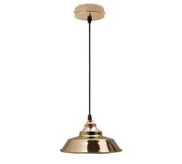 DC VOLTAGE Retro Modern Pendant Light French Gold Bowl Shade 22cm Metal Cage Pendant Lamp Shade for E27 Bulb, Ceiling Lighting Cover for Kitchen, Living Room, Bedroom