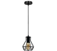 DC Voltage Vintage Light Industrial Pendant Wire Cage Shade, Lamp Black Hanging Ceiling E27 Holder Fitting with Plate for Home, Restaurants and cafes (with Bulb, Single Pendant Light)