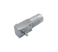 DC12V 24V Powerful Torque Gearmotor Worm Geared electronic starter Double D-Shaft Reversed Low Speed 70kg.cm Worm Gear electronic starter for Smart Home BIANMTSW(16 RPM,12V)